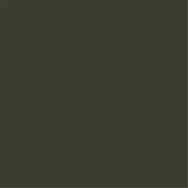 Tru-Color Paint Paint, Matte Dark Brown Tree Bark TCP438